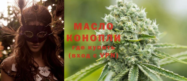 дмт Вяземский