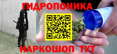 твердый Кингисепп