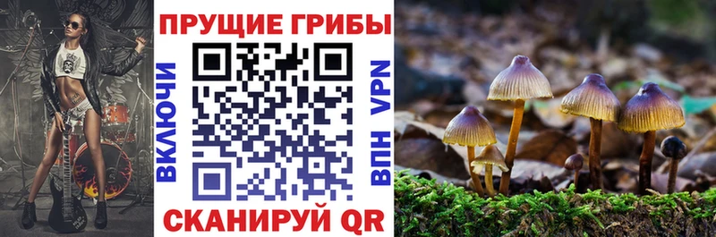 Псилоцибиновые грибы GOLDEN TEACHER  магазин продажи наркотиков  Муром 