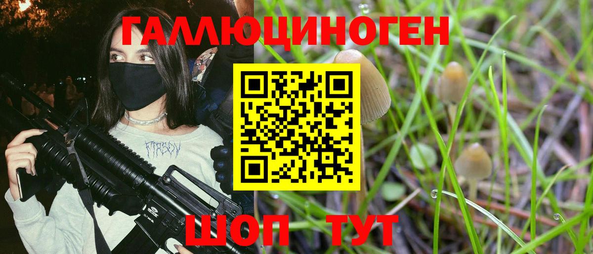Псилоцибиновые грибы Psilocybe  Вход с VPN  цены   Муром 
