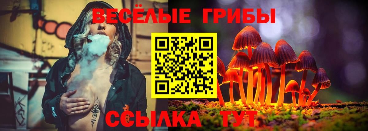 Галлюциногенные грибы Psilocybine cubensis Муром